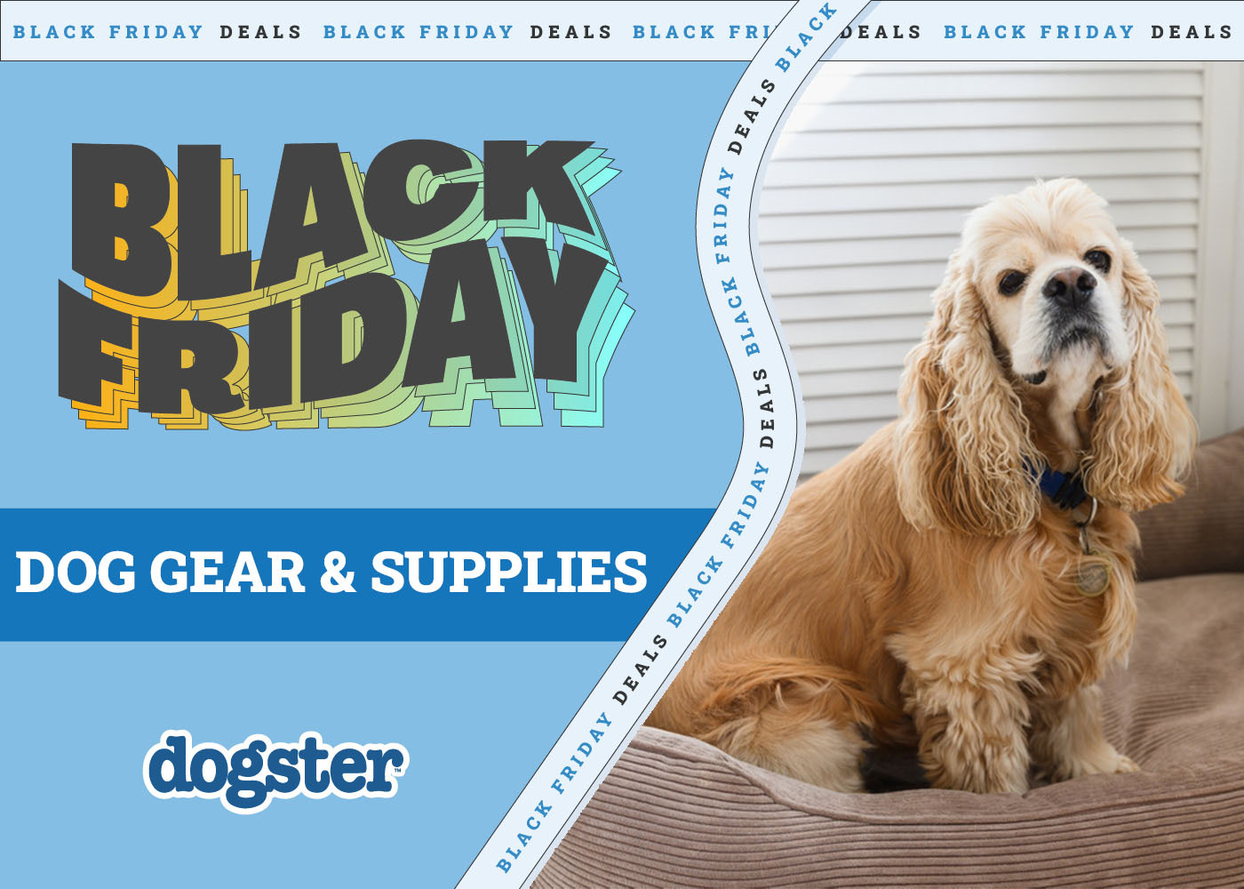 Product sales on Toys, Beds, Supplies & Additional – Dogster