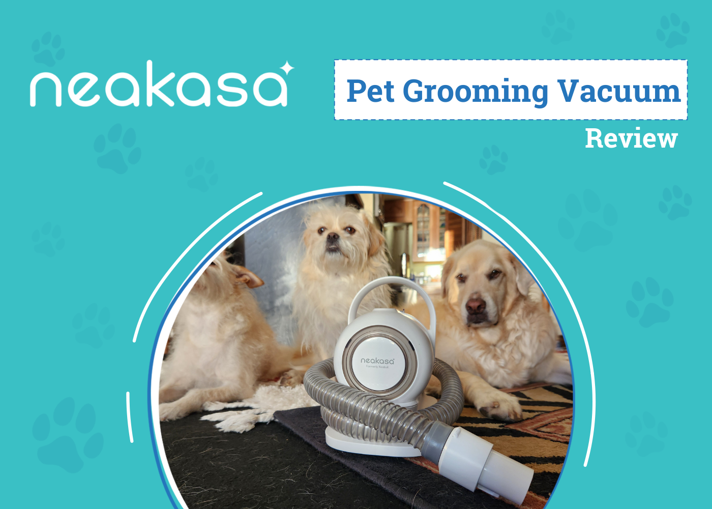 Cleaning Up the Grooming Course of – Dogster