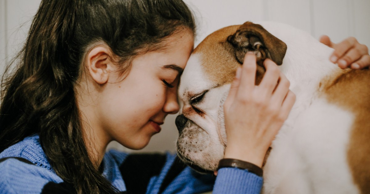 5 Strategies to Current Your Canine Love That They Can Understand