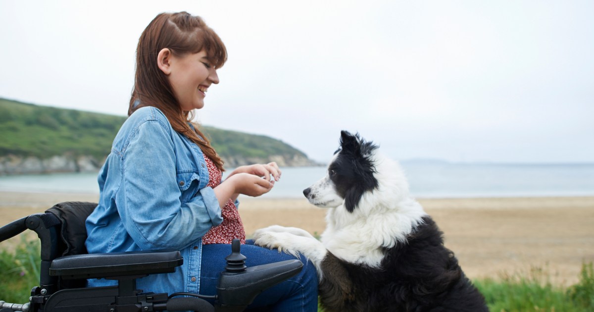 Canine Teaching: Come