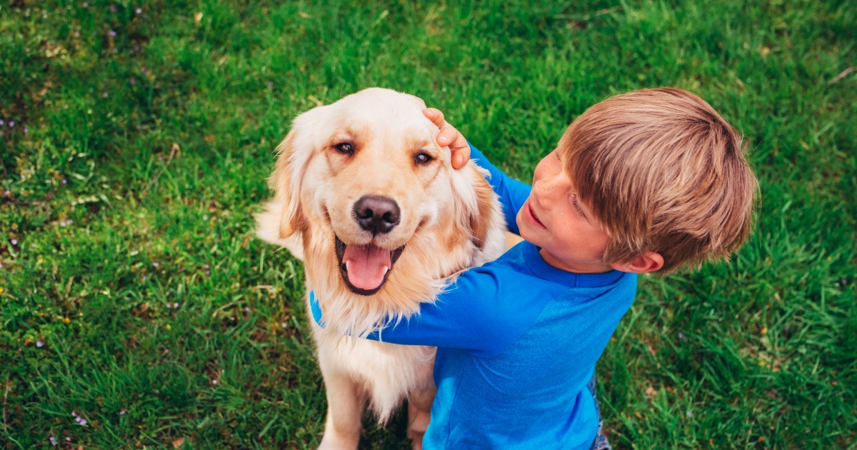 Study Reveals Canine Genes Hyperlink to Conduct and Character