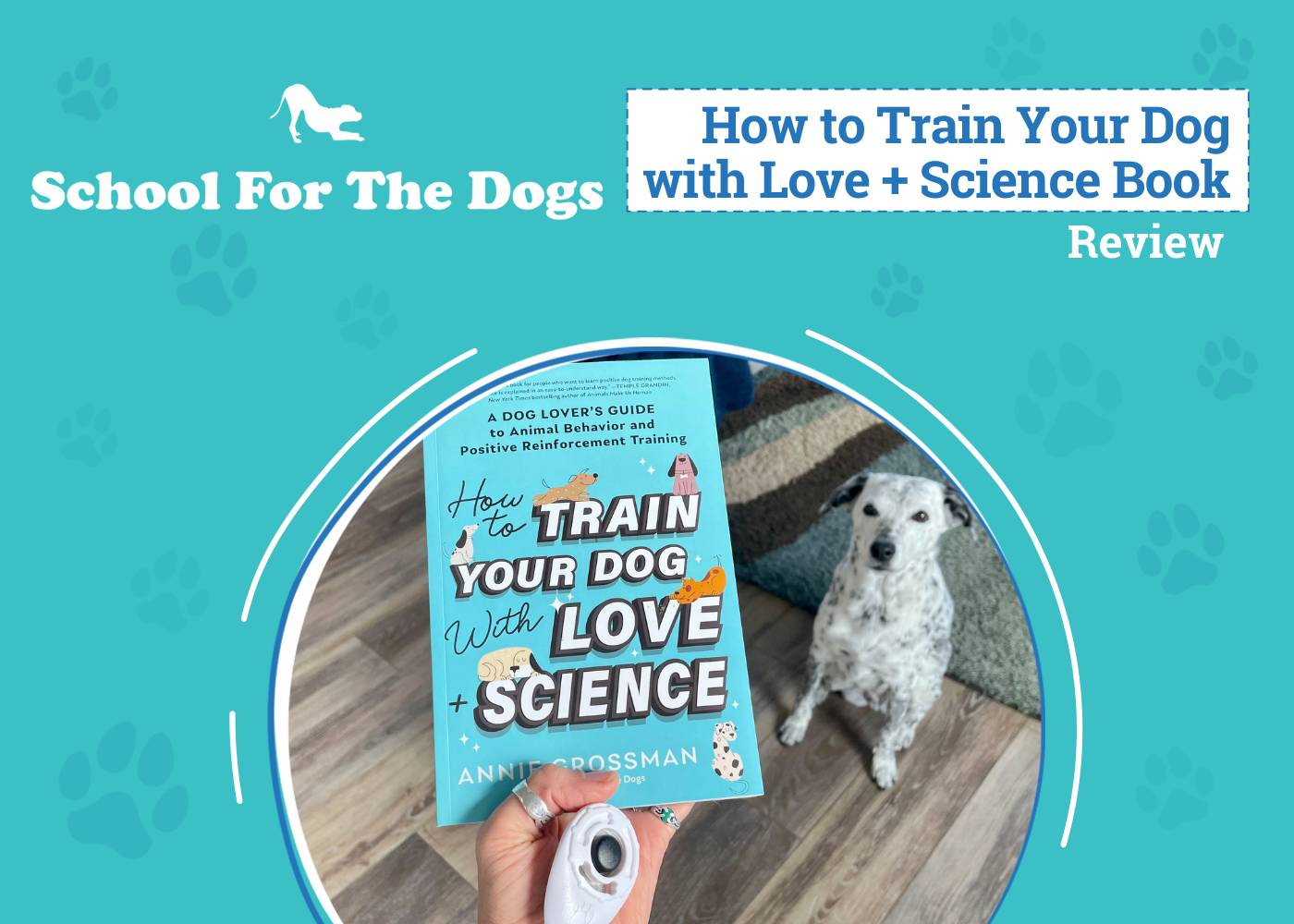 Canine Educating Chances are you’ll Have the benefit of – Dogster